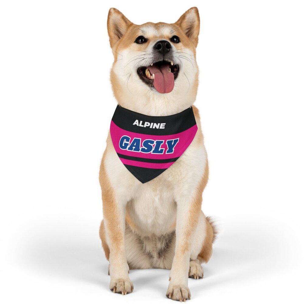 Pierre Gasly F1 Dog Bandana Medium - Formula 1 Dog Collar